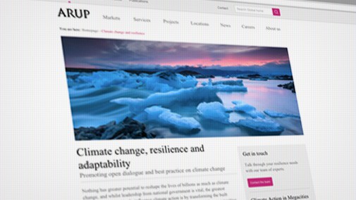 The climate change campaign page created for Arup