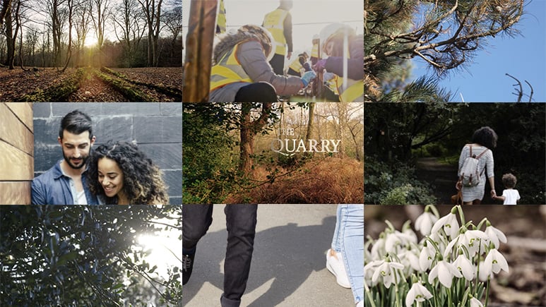The Quarry Environment